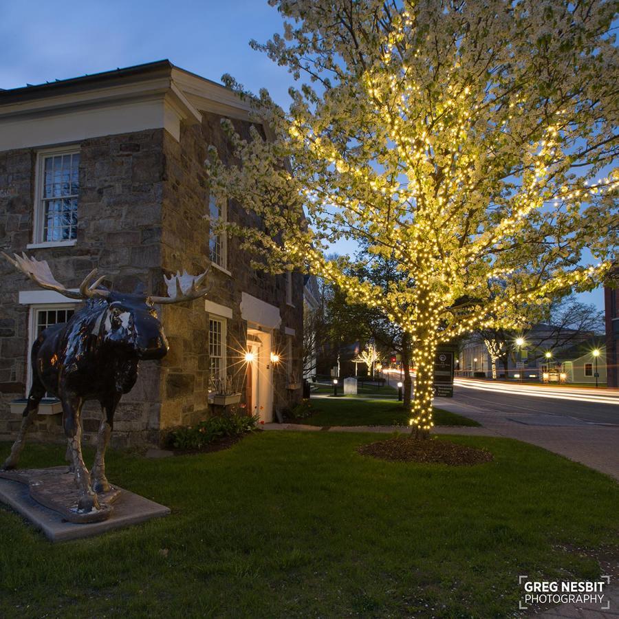 Governor'S Rock Motel Shaftsbury Exteriér fotografie